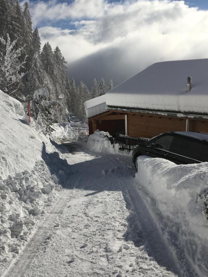 Ferienwohnung Lenzerheide - Lain Eksteriør billede